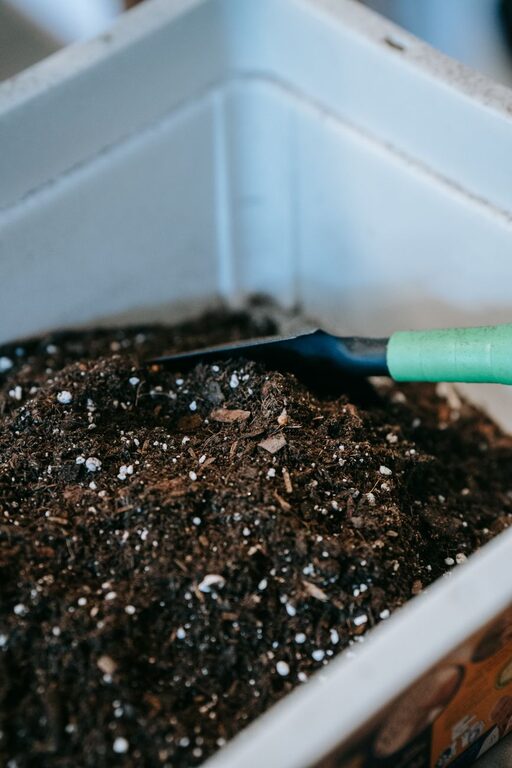Beginner Tips for Composting at Home: Easy Steps to Start Today
